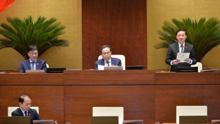 Trình phương án đầu tư xây dựng đường bộ cao tốc Quy Nhơn – Pleiku 43.700 tỷ đồng