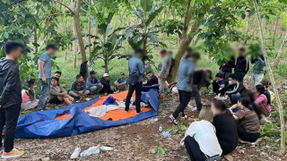 Triệt xóa ổ nhóm đánh bạc trong rừng với nhiều đối tượng có tiền án