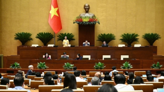 Trình Quốc hội Dự thảo Luật sửa đổi, bổ sung 53 điều của 4 luật