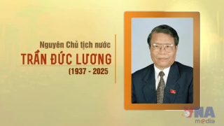 Tóm tắt tiểu sử nguyên Ủy viên Bộ Chính trị, nguyên Chủ tịch nước Trần Đức Lương