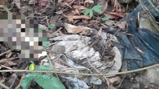 Đi hái rau rừng, tá hỏa phát hiện bộ xương người