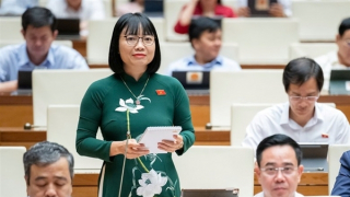 Đại biểu Quốc hội phân tích lý do nên bỏ tử hình đối với một số tội danh