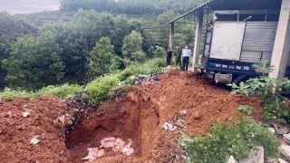 Lái ô tô chở hàng tạ lợn chết “phi tang” xuống sông