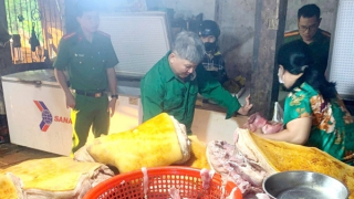 Thực phẩm bẩn, hàng giả “ẩn mình” trong đời sống thường nhật