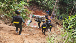 Cảnh sát băng rừng, luồn hang truy quét “vàng tặc” trong rừng phòng hộ