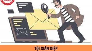 Tại sao nên bỏ tử hình tội Gián điệp, Hoạt động nhằm lật đổ chính quyền nhân dân?