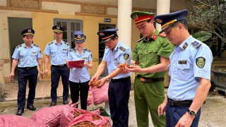 Kiểm tra đột xuất, lộ nhiều vi phạm về buôn lậu, hàng giả