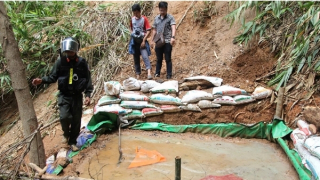 Chính quyền nói gì vụ “vàng tặc” khai thác trong rừng phòng hộ?