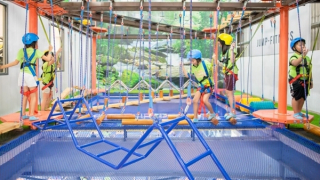 Thế hệ toàn diện