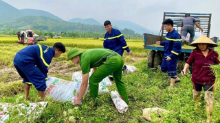 Cảnh sát PCCC & CNCH giúp dân thu hoạch lúa sau mưa lớn