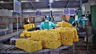 VRG xây dựng thương hiệu từ giá trị bền vững