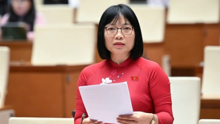 Bỏ tử hình một số tội danh: Không phải khoan dung với tội phạm mà là điều chỉnh phù hợp