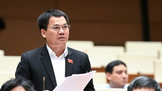 Đại biểu Quốc hội: "Hình sự hoá hành vi sử dụng trái phép chất ma tuý là cần thiết"