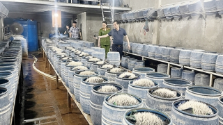 Lào Cai: Phát hiện 2 cơ sở dùng hóa chất độc hại làm giá đỗ