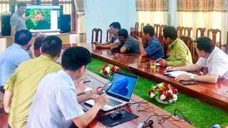 Cập nhật diễn biến rừng để nâng cao hiệu quả quản lý, bảo vệ rừng