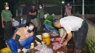 Cơ sở giết mổ gần 3 tấn thịt lợn dương tính với virus dịch tả lợn châu Phi