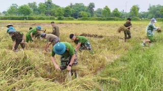 Không khí lạnh “đổ bộ” giữa mùa hè có bất thường?