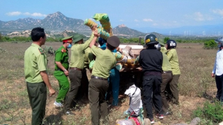 Phát dọn cây cỏ rồi tấn công nhân viên bảo vệ rừng