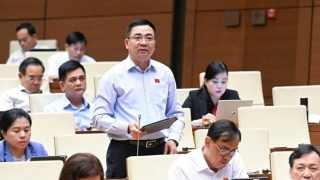 Đề nghị rà soát, quy định rõ về người Việt Nam không xác định được quốc tịch