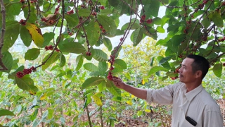 Thắp lửa ở vùng rừng lạnh