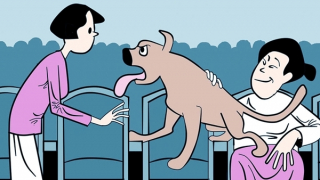 Chó nhà thị trưởng