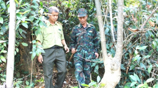 Những người trở về giữa màu xanh của đại ngàn Trường Sơn