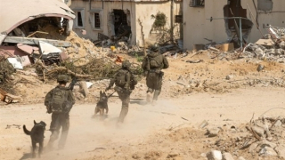 Israel đồng ý ngừng bắn 60 ngày ở Dải Gaza, chờ Hamas phản hồi