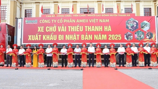 Hải Dương khai hội mùa vải: Lô vải thiều đầu tiên xuất sang Úc, Nhật Bản