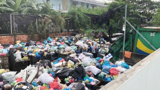 Người trong cuộc lên tiếng và hậu quả từ chuyện độc quyền rác (bài 2)