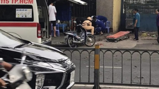 Cây cổ thụ bật gốc trong mưa đè trúng người đi xe máy