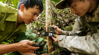 Huy động nguồn lực bảo tồn, phát triển động vật hoang dã, quý hiếm