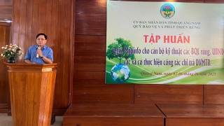 Nâng cao năng lực sử dụng bản đồ số để chi trả dịch vụ môi trường rừng