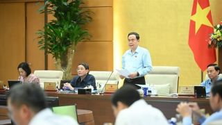 Hàng giả, hàng nhái, hàng kém chất lượng xảy ra, không có cơ quan nào chịu trách nhiệm chính