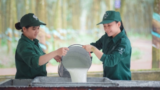 VRG trước thềm Đại hội cổ đông 2025: Bản lĩnh vượt khó, sẵn sàng cho sức bật mới