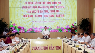 Tổ công tác của Thủ tướng Chính phủ làm việc với 4 tỉnh, thành Tây Nam bộ