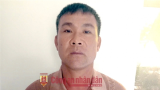 Khởi tố tài xế bán tải chạy ngông nghênh trên bãi biển Tuy Hòa