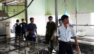 Vụ lùm xùm tại Công ty C.P: Thịt heo bệnh sao phải mổ, xẻ thịt?