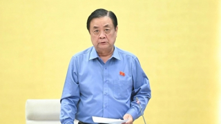 "5 tiếng đồng hồ ở vựa sầu riêng, Tiktoker nổi tiếng có thể bán được 650 triệu USD"