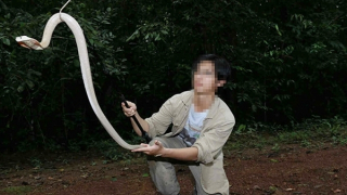 Đừng biến "thú cưng" thành hiểm họa