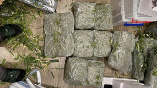 Triệt xoá đường dây mua bán hơn 200kg cần sa trên không gian mạng