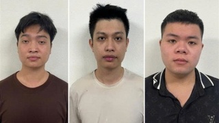 Xóa ổ nhóm lừa đảo bán sinh vật cảnh, chiếm đoạt tiền tỷ