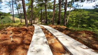 Tháo dỡ đường bê tông trong rừng phòng hộ tại Đà Lạt