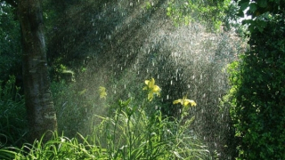 Miền Bắc nắng gián đoạn, nhiều nơi có mưa; Nam Bộ mưa to