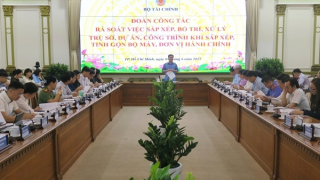 Thành lập tổ phản ứng nhanh hướng dẫn xử lý tài sản công