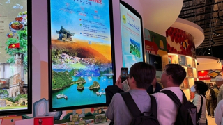 Hàng chục nghìn người dự Tuần lễ Quảng Ninh tại EXPO 2025