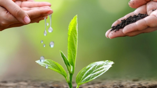 Phát động cuộc thi báo chí viết về bảo vệ môi trường ngành Công Thương 2025