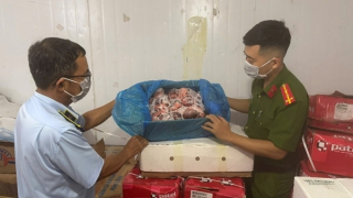 Tạm giữ gần 4 tấn thực phẩm đông lạnh nhập lậu