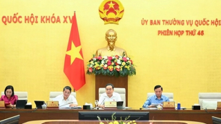 Đề xuất toàn bộ doanh nghiệp Nhà nước được đầu tư bất động sản