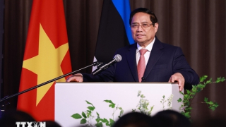 Thủ tướng: Việt Nam và Estonia nên là cầu nối thúc đẩy hợp tác với cả khu vực