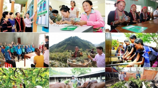 Bài cuối: Mở “cao tốc” cho kinh tế tư nhân